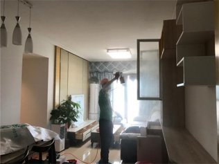 新房除甲醛只需一招，既簡單又科學